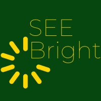 SEE Bright LLC